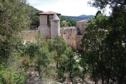 San Pedro de Arlanza (I)